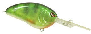 0001_Spro_Little_John_DD_60__[Real_Perch].jpg